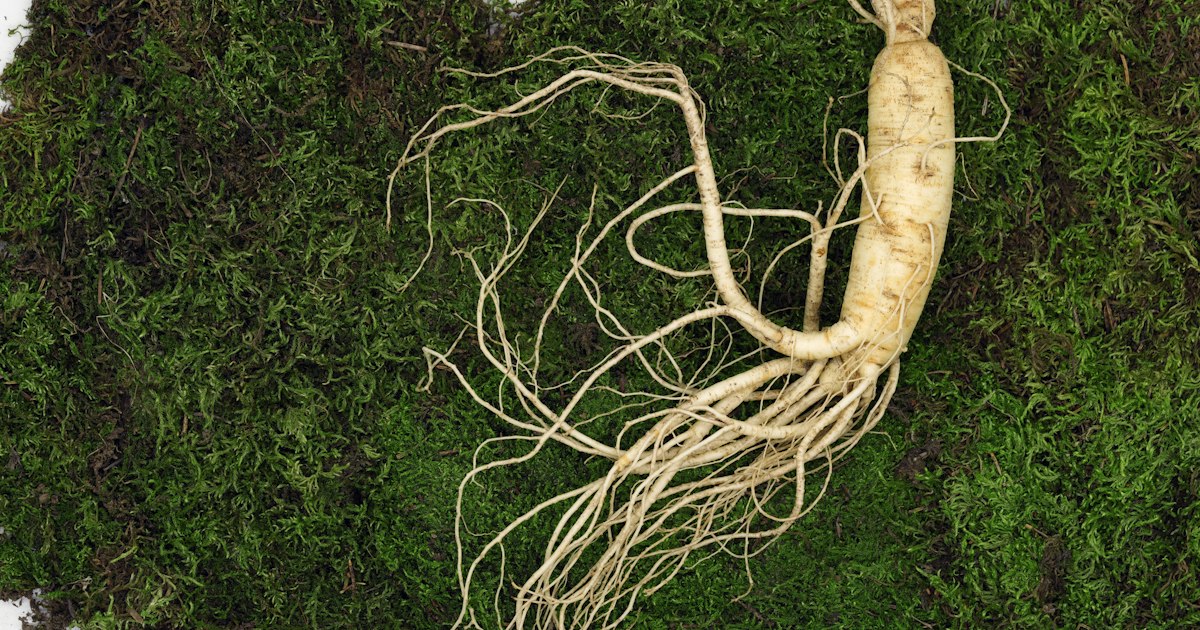 Ashwagandha po 40. roku życia