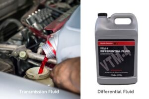 Transmission (in left) vs Differential Fluid (in right)